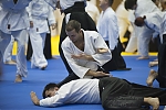 2014_pankova-aikido-00609.jpg