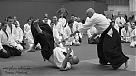 2014_pankova-aikido-01017.jpg