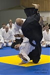 2014_pankova-aikido-01052.jpg