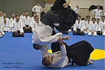 2014_pankova-aikido-01237.jpg