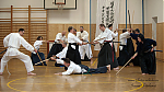 2017_aikido_pankova-00695.jpg