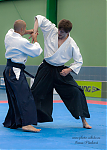 2017_aikido_pankova-00743.jpg