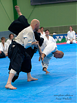 2017_aikido_pankova-01045.jpg