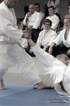 2017_photo-aikido_pankova-01829.jpg